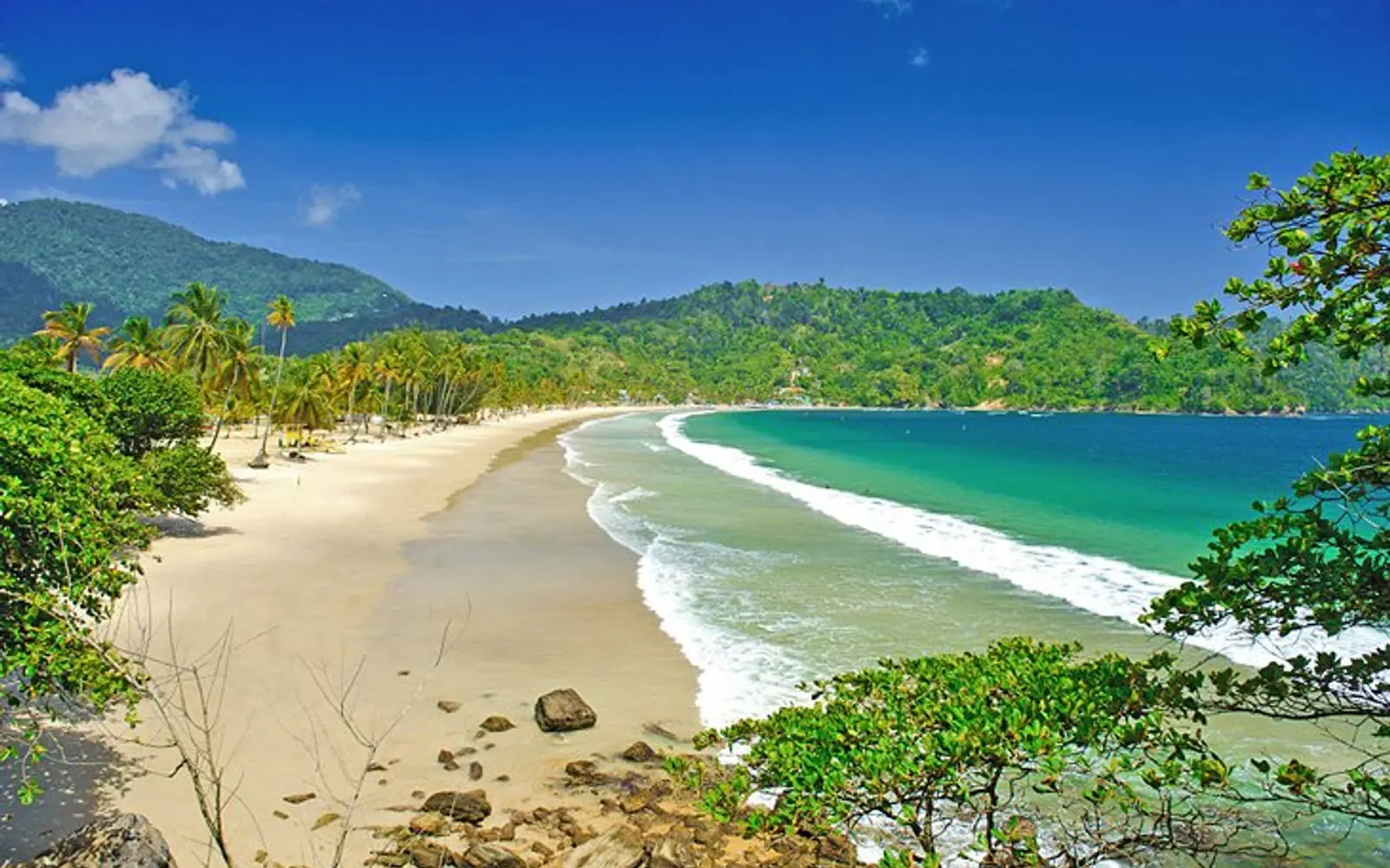 Maracas Bay